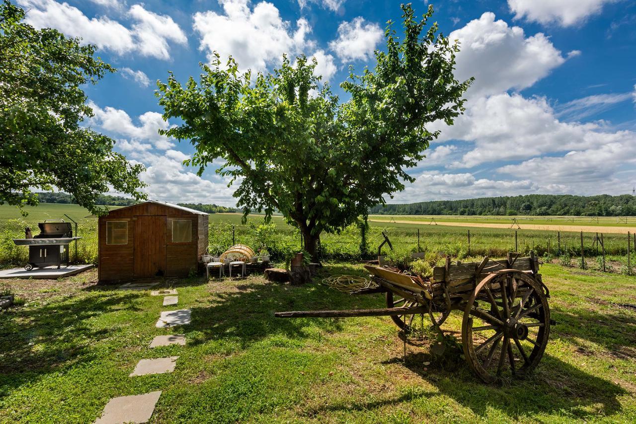 Domaine Du Bois Des Anges Bed and Breakfast Germigny-l'Eveque Eksteriør billede